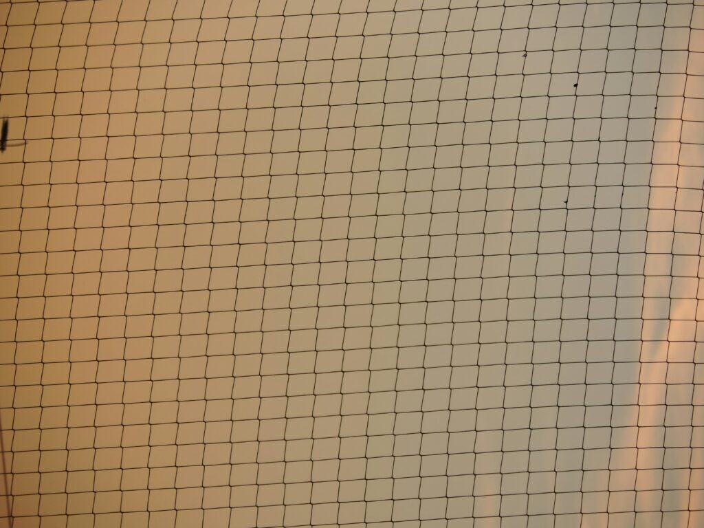 How to Measure Progress Without Using a Scale