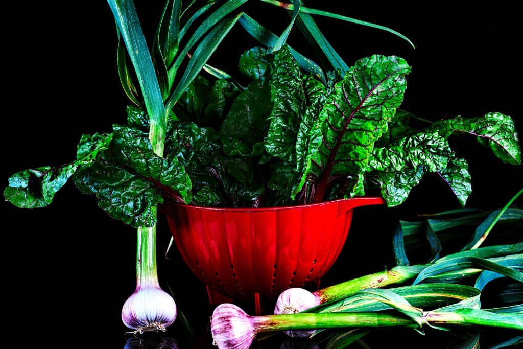 Plant-Based vs. High-Protein Diets: Which Is Right for You?