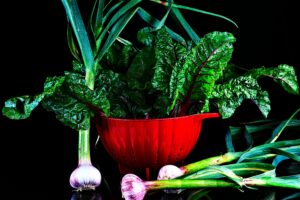 Plant-Based vs. High-Protein Diets: Which Is Right for You?