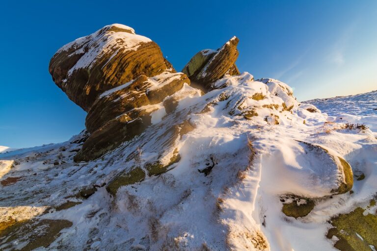 what medicine for cancer shmgmedicine