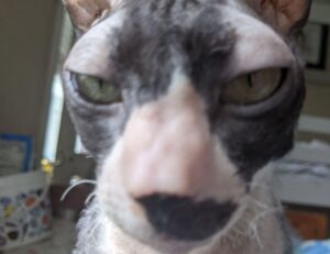 advice guide ontpwellness