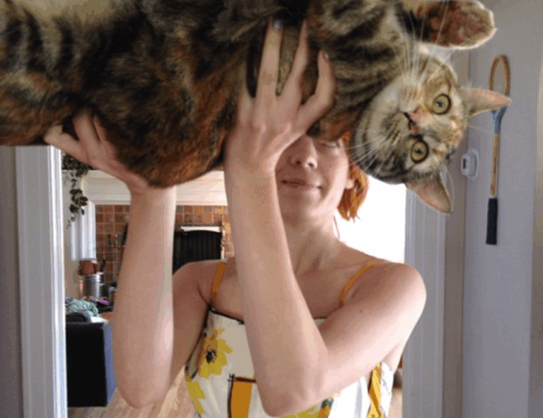 body nourishment twspoonfitness