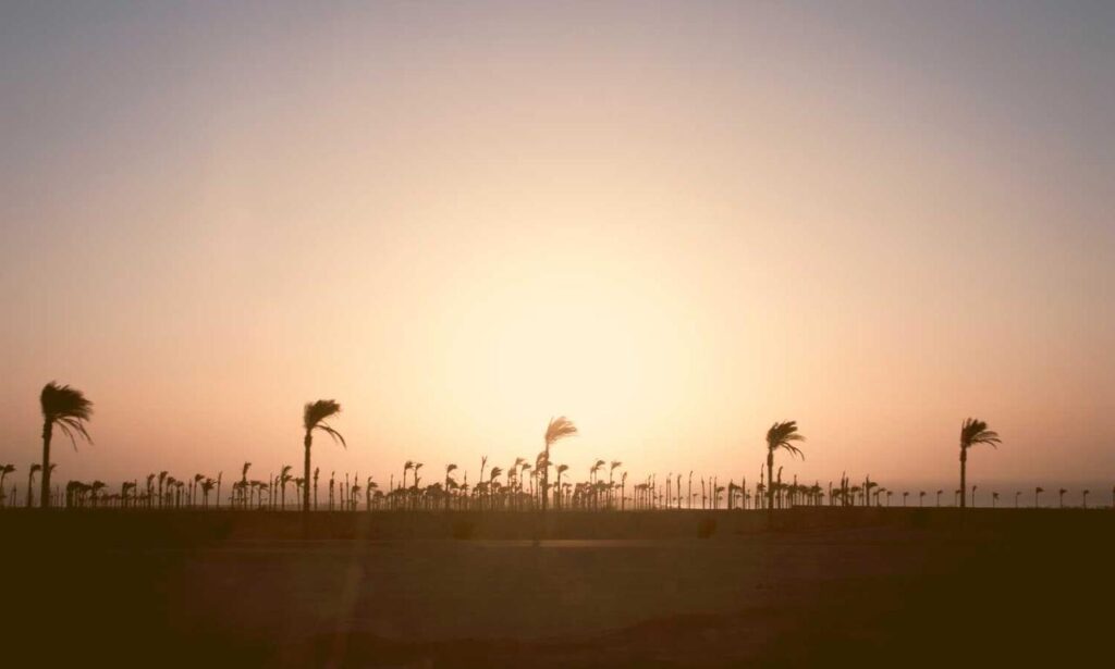 body nutrition guide twspoonfitness