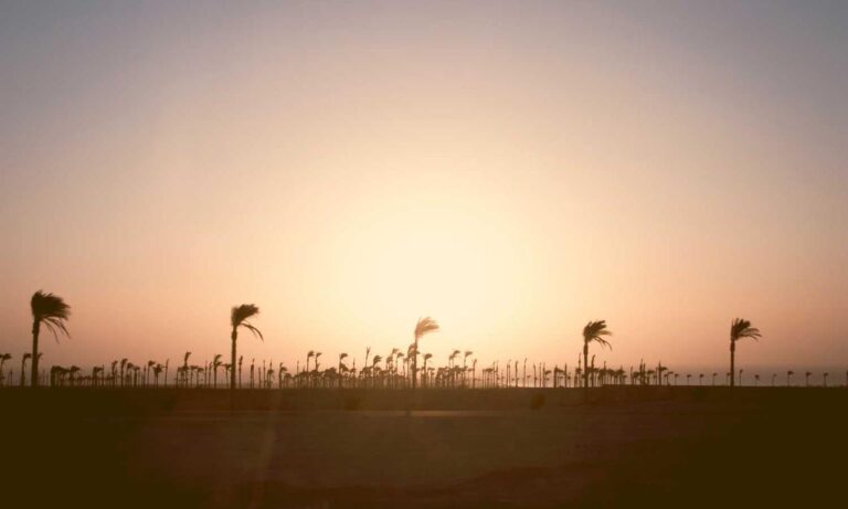 body nutrition guide twspoonfitness