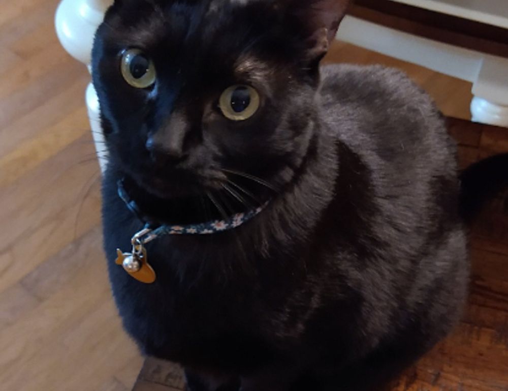 can diet help your brain tweeklynutrition