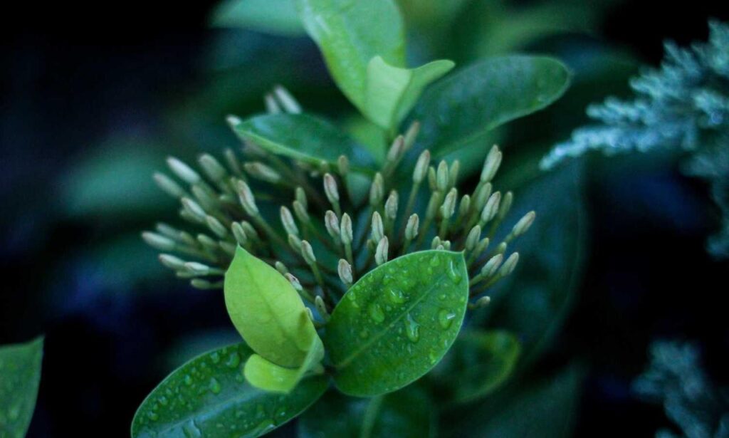 ewmagwork management guide