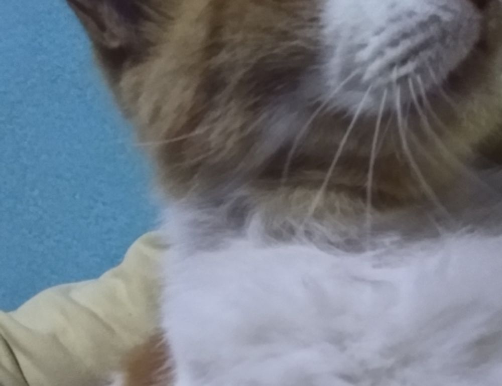 fitness advice fntkdiet