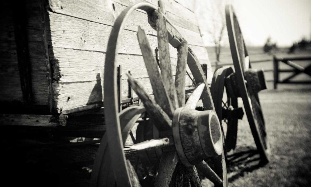 fitness guide fntkdiet