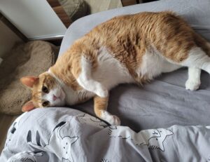 fitness guide ontpwellness