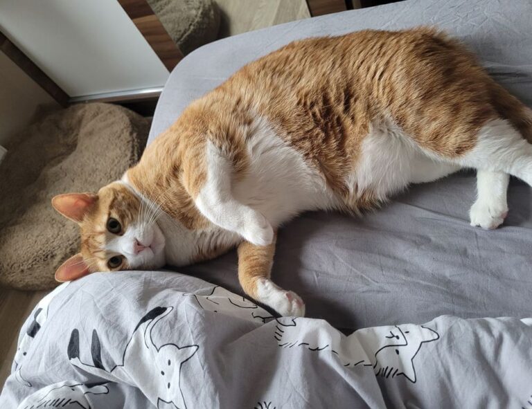 fitness guide ontpwellness