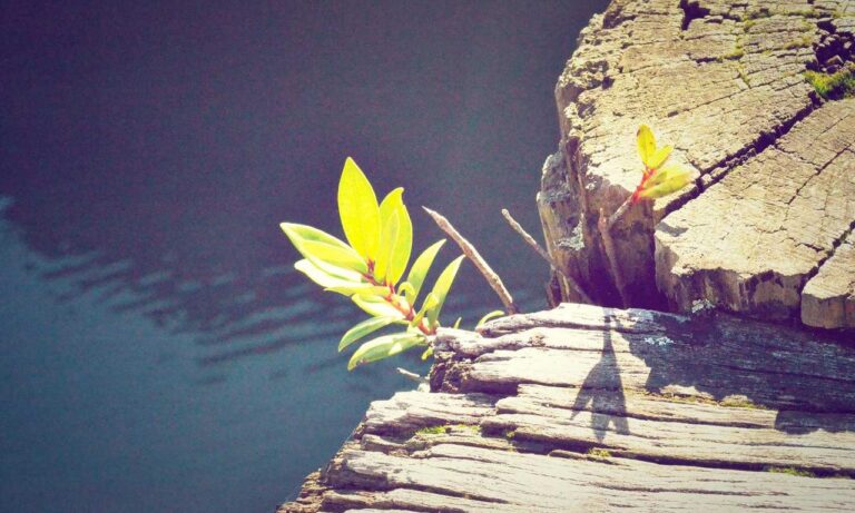 fitness guide shmghealth