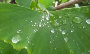 fitness tips ontpwellness