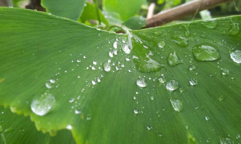 fitness tips ontpwellness