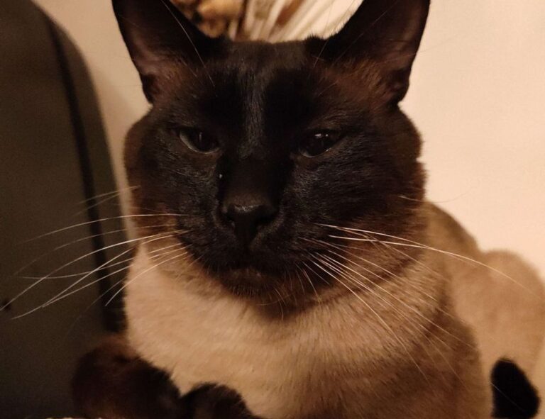 health guide ontpwellness