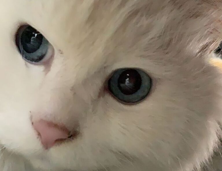 health hacks ontpwellness