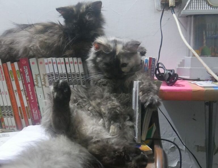 health hacks shmghealth