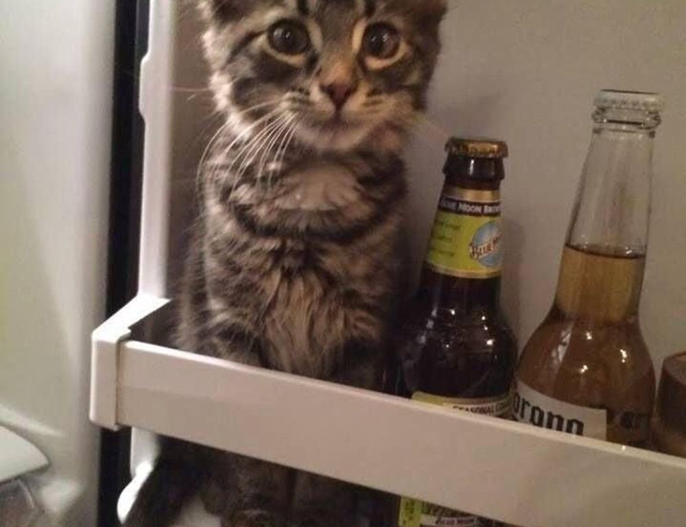 homorzopia disease problems