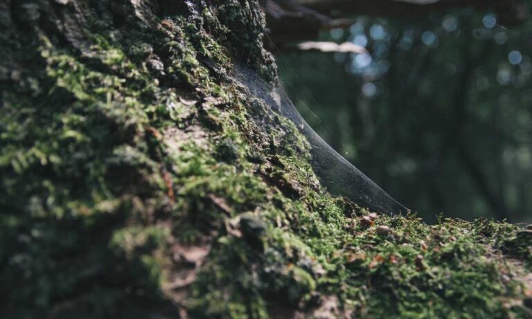 how to get fit step by step lwspeakfit