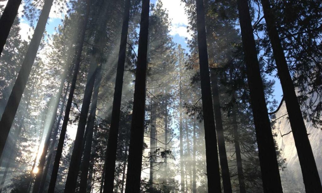 how to keep fit twspoonfitness