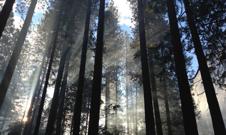 how to keep fit twspoonfitness