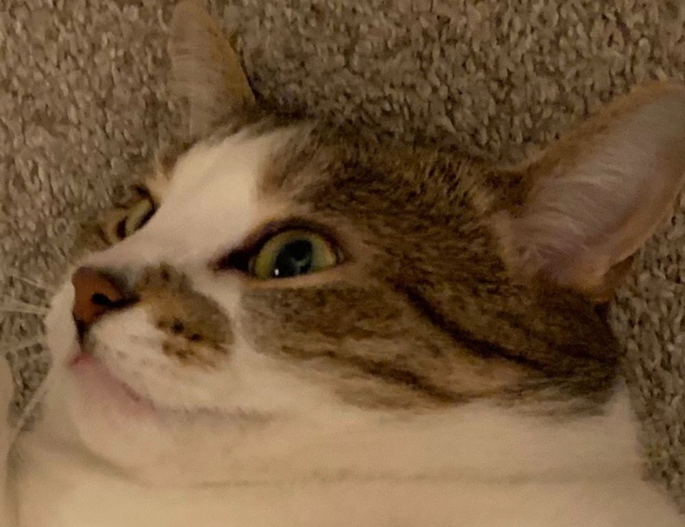 keto diet plan tweeklynutrition