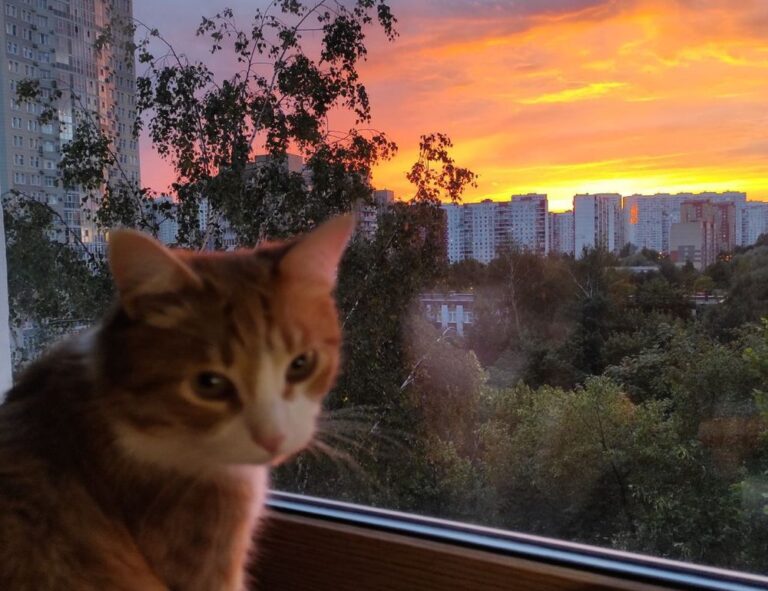 labour sisterhood ewmagwork