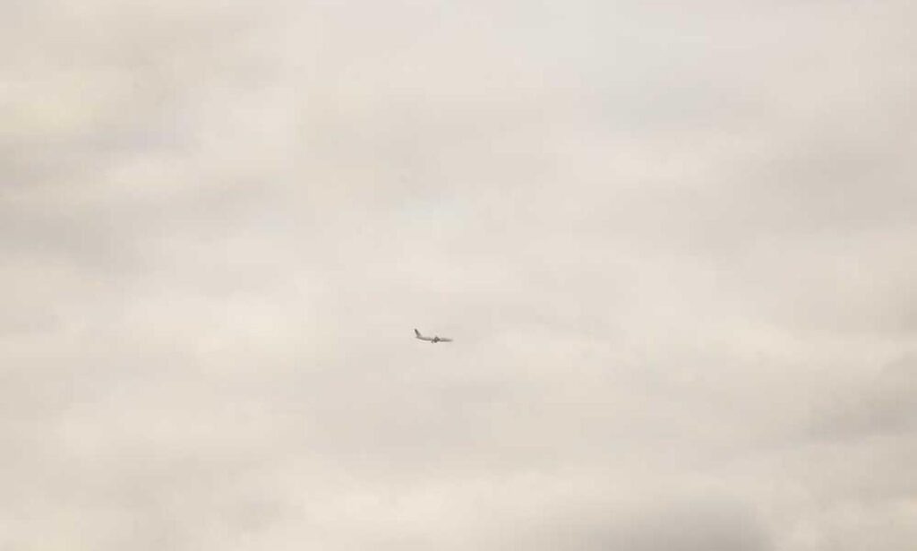 lwspeakfit fitness guide by letwomeanspeak