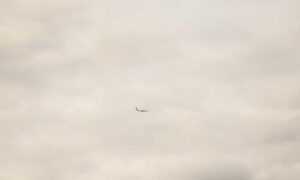 lwspeakfit fitness guide by letwomeanspeak