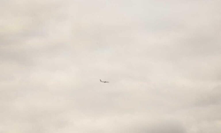 lwspeakfit fitness guide by letwomeanspeak