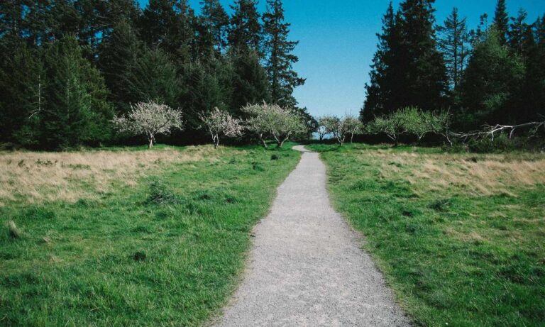 lwspeakfit weight loss guide from letwomeanspeak