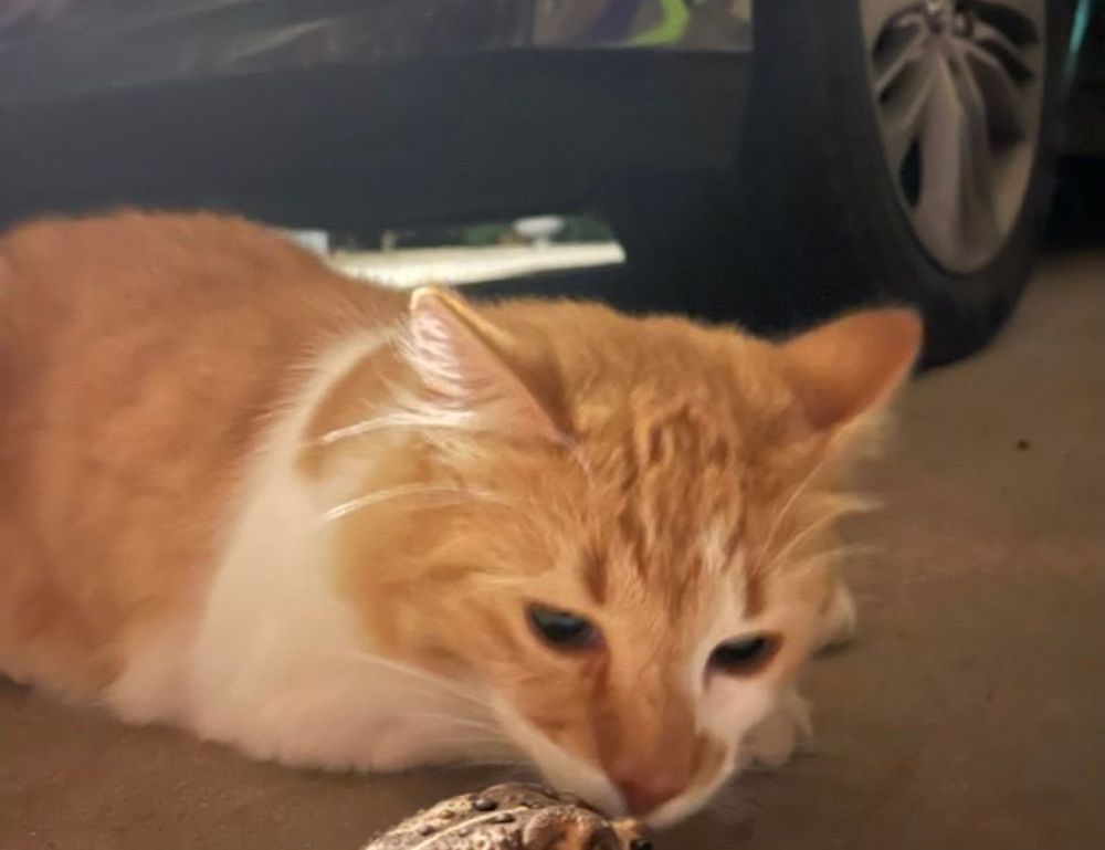 management guide ewmagwork