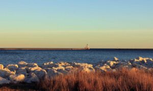 message code dropbox 8737.idj.029.22