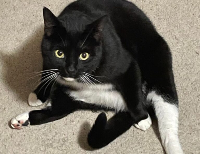 navigating trends ewmagwork