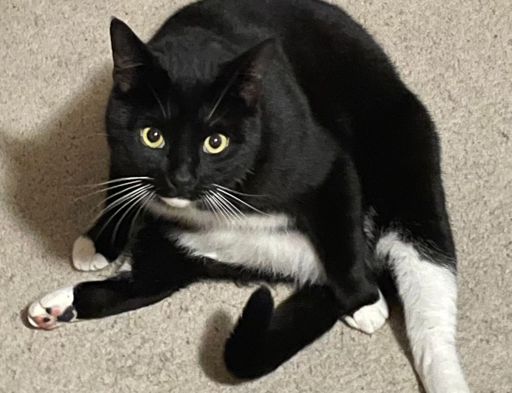 navigating trends ewmagwork