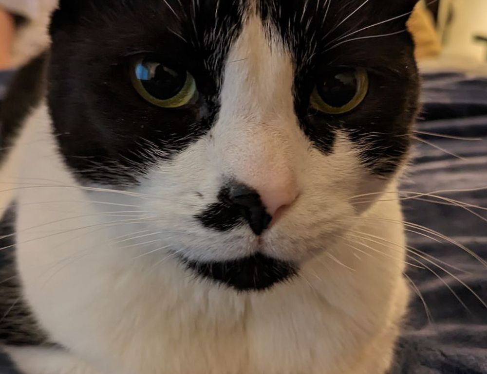 shmgdiet diet guide by springhillmedgroup