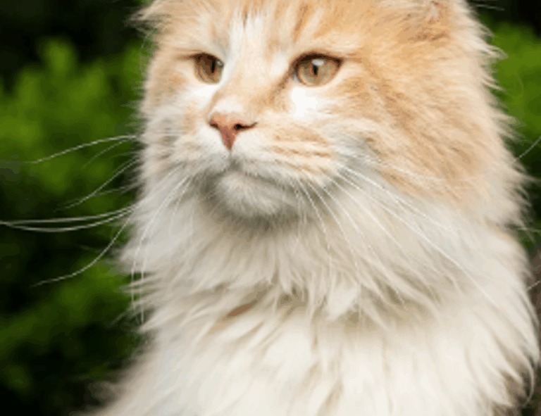 the power of activism ewmagwork