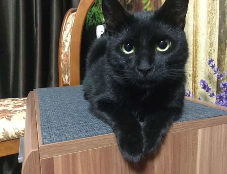 top five health tips twspoondietary