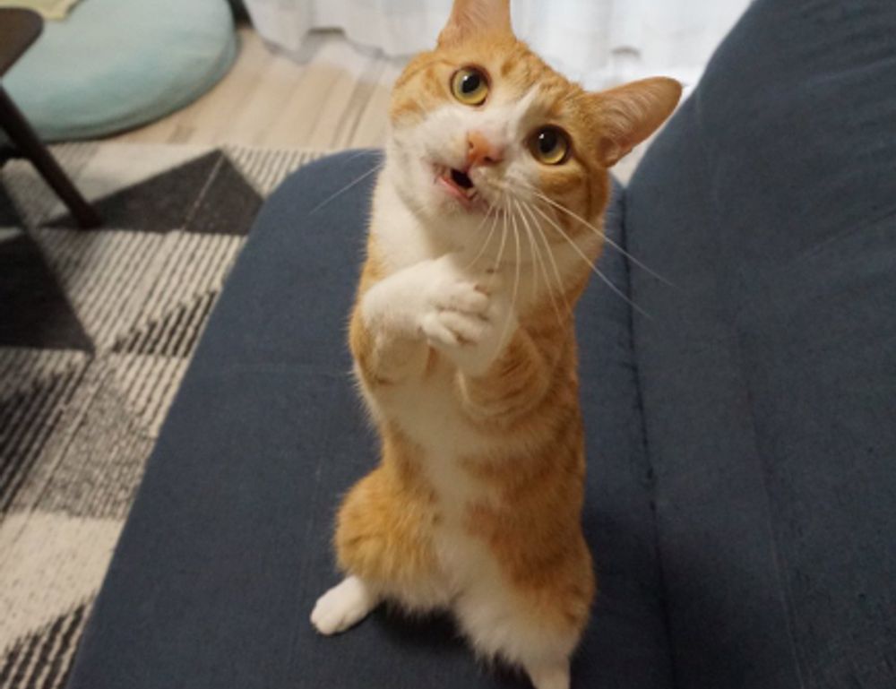 tweeklynutrition cbd guide from theweeklyspoon