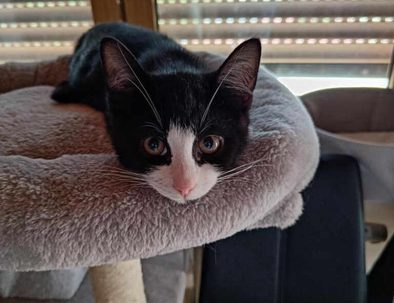 vitamin advice twspoonfitness