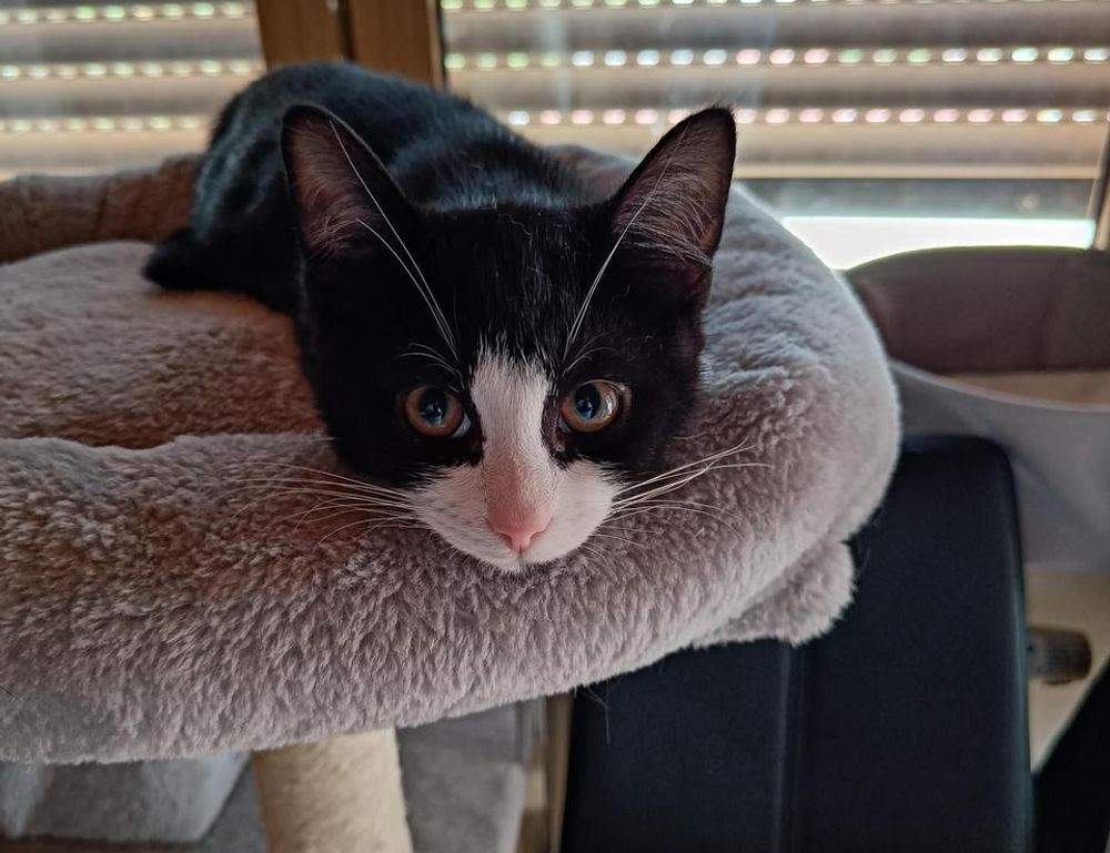 vitamin advice twspoonfitness