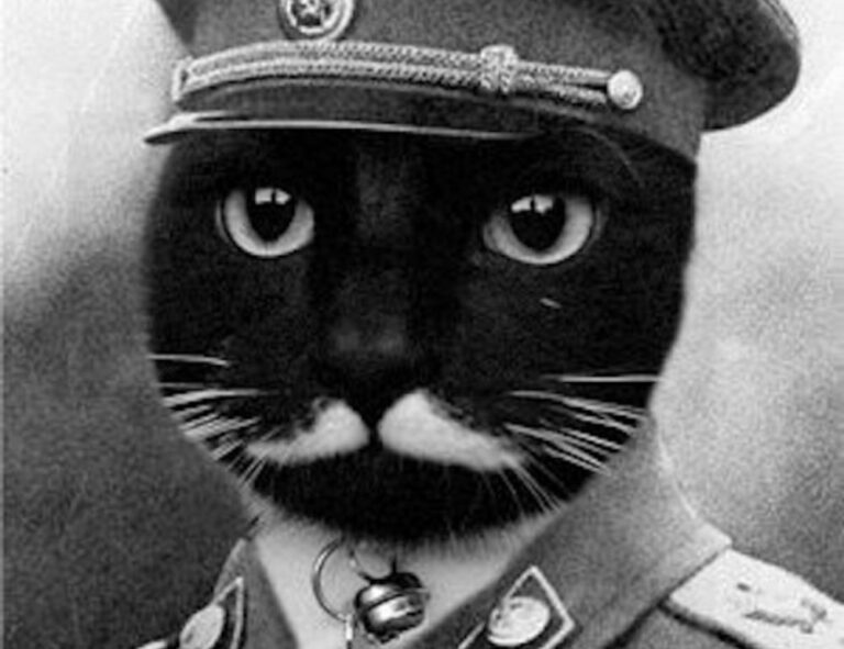 what is pilates workout ewmagwork