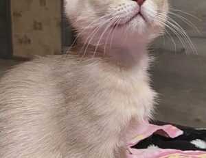 which gym should i go to lwspeakfit