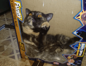 why can’t tadicurange disease be cured