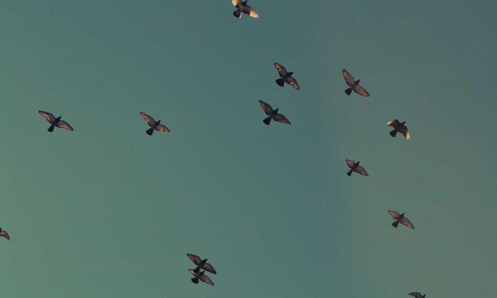 why health is so important shmghealth