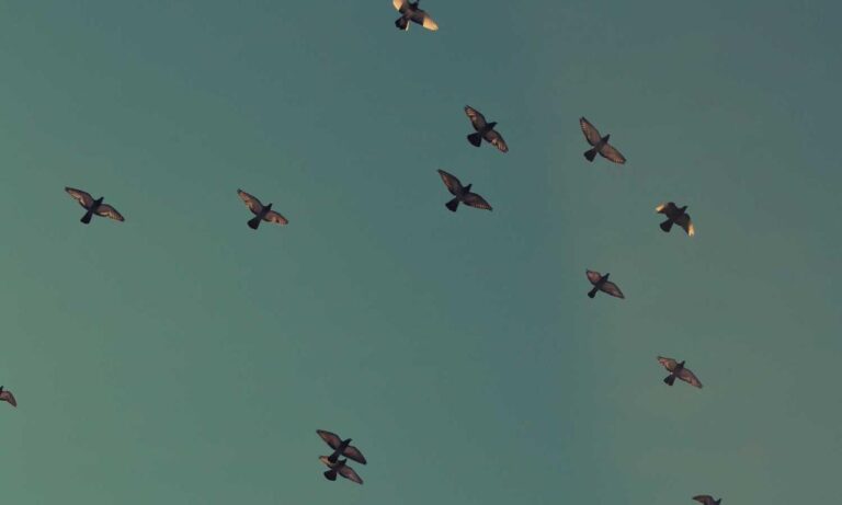 why health is so important shmghealth