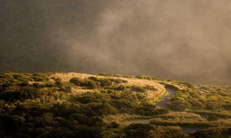 why homorzopia disease bad