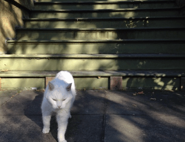 why test for tadicurange disease