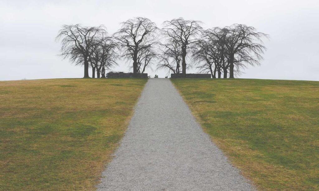 workplace guide ewmagwork