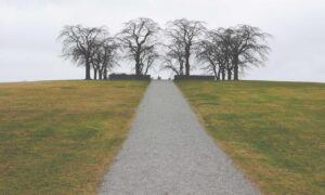 workplace guide ewmagwork