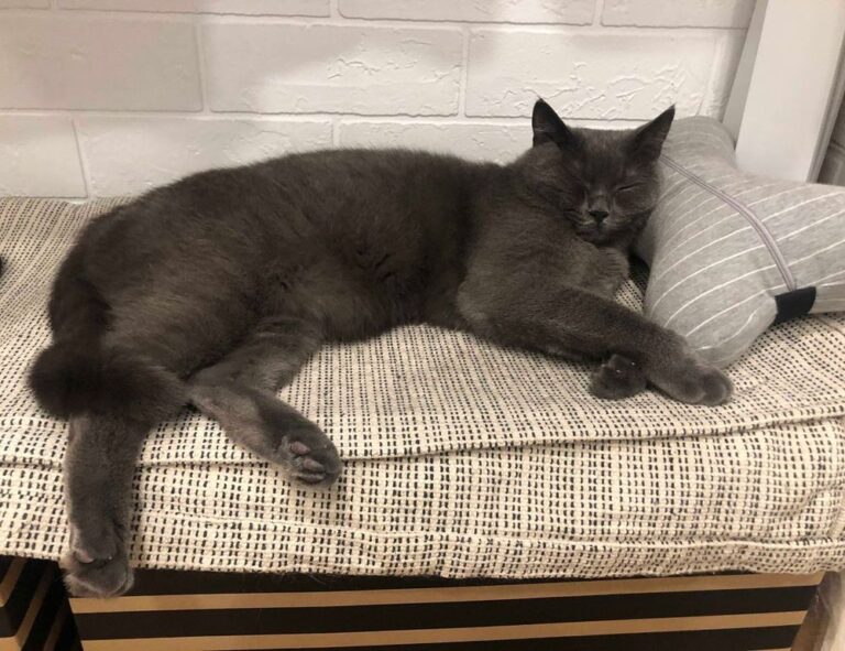 workplace management ewmagwork